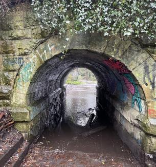 Tunnel near Redbraes weir