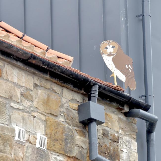 OWL